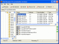 File Renamer Pro screenshot